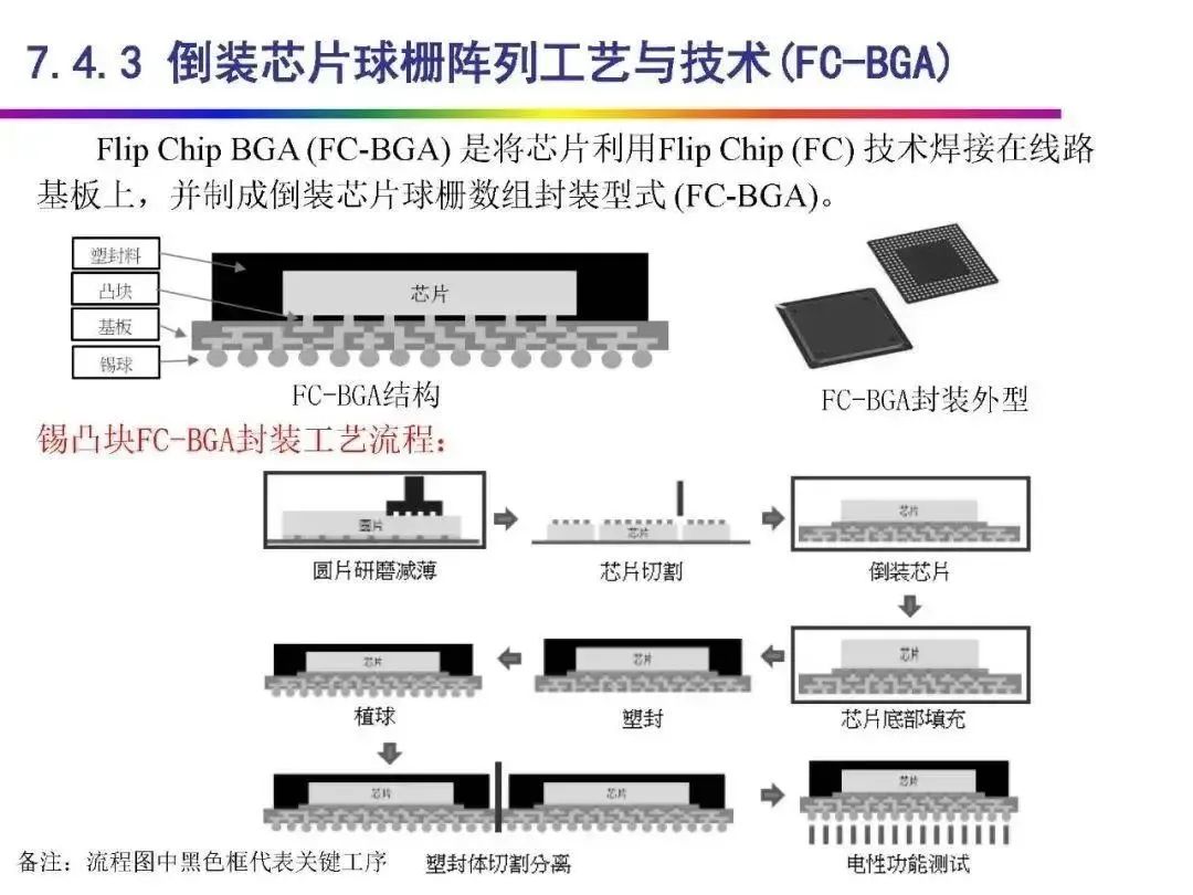 8396c3ba-dd09-11ed-bfe3-dac502259ad0.jpg