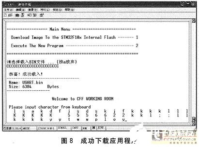 成功下载应用程序