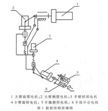 采用单片机和CPLD器件实现仿人手臂形假肢控制系统的设计