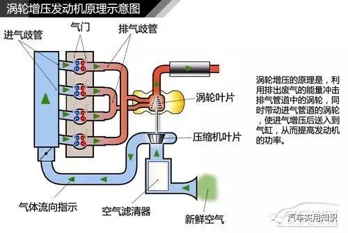 6d704cae-b9d7-11ee-8b88-92fbcf53809c.jpg