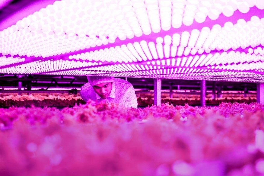 艾迈斯欧司朗推出全新高功率植物照明LED