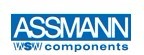 Assmann Electronics